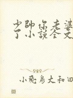 少帅你老婆又跑了小说全文免费阅读