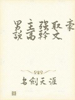 男主强取豪夺小说高干文