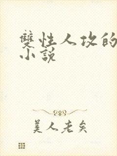 双性人攻的高h小说