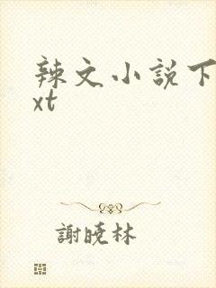 辣文小说下载txt