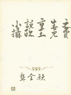 小说重生之大明摄政王免费阅读