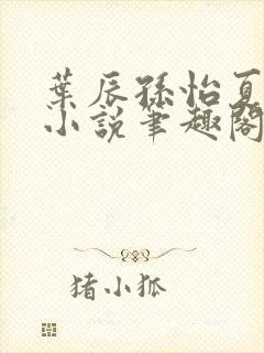 叶辰孙怡夏若雪小说笔趣阁