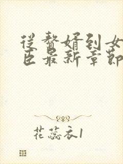 从赘婿到女帝宠臣最新章节