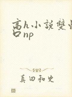 高h小说双性重口np