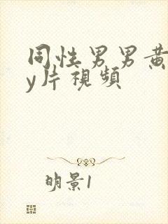 同性男男黄gay片视频