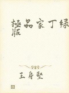 极品家丁绿帽 版