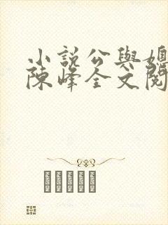 小说公与媳瑶瑶陈峰全文阅读