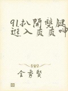 91扒开双腿猛进入爽爽呻吟视频