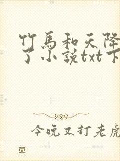 竹马和天降he了小说txt下载