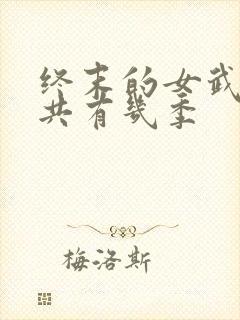 终末的女武神一共有几季