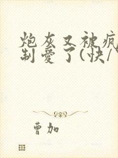 炮灰又被疯批强制爱了(快/穿