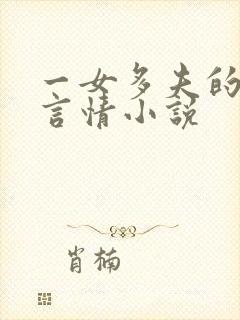 一女多夫的穿越言情小说