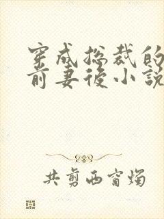 穿成总裁的炮灰前妻后小说