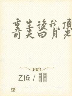 重生后我顶替了前夫白月光 第507章封面