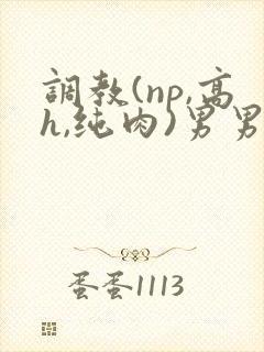 调教(np,高h,纯肉)男男