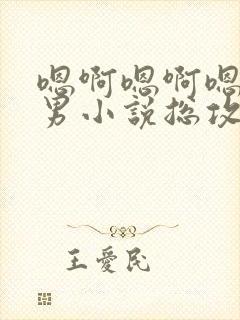 嗯啊嗯啊嗯啊男男小说总攻