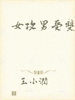 女攻男受双性文封面