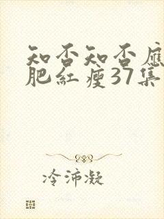 知否知否应是绿肥红瘦37集