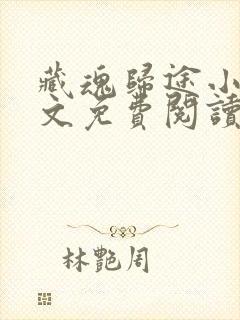 藏魂归途小说全文免费阅读最新章节