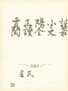 贾正阳小说免费阅读全文最新章节