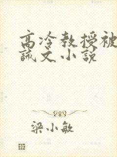 高冷教授被罚训诫文小说