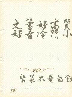 文笔好高质量超好看冷门小说封面