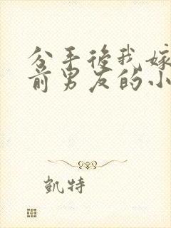 分手后我嫁给了前男友的小叔