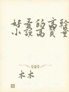 好看的高干言情小说高质量文笔好