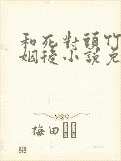 和死对头竹马联姻后小说免费阅读封面