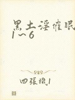 黑土淫催眠肉奴1～6