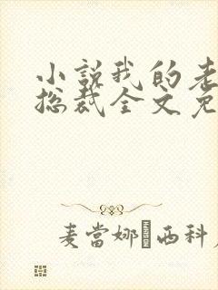 小说我的老婆是总裁全文免费阅读