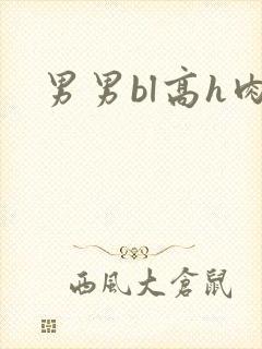 男男bl高h肉封面