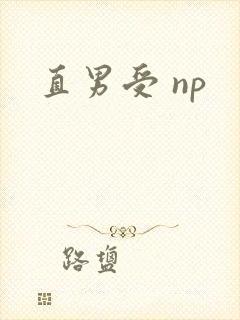 直男受 np