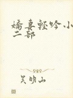 娇妻轻吟小说第二部