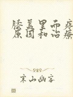 膝盖里面疼痛的原因和治疗方法封面