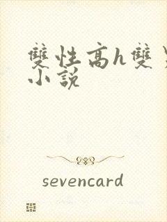 双性高h双男主小说