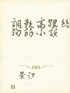 调教高跟丝袜母狗的小说