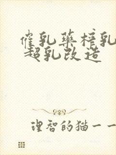 催乳药榨乳圣女 超乳改造封面