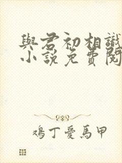 与君初相识原著小说免费阅读