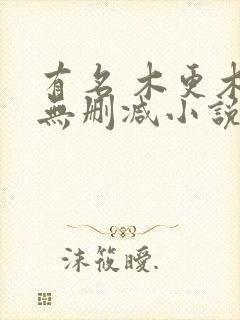 有名 木更木更无删减小说