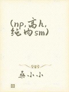 (np,高h,纯肉sm)
