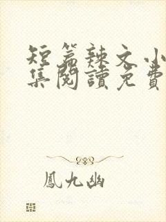 短篇辣文小说全集阅读免费