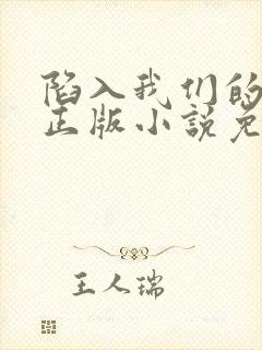 陷入我们的热恋正版小说免费阅读封面