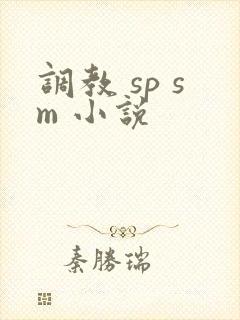 调教 sp sm 小说