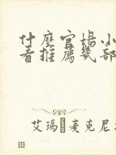 什么官场小说好看推荐几部封面