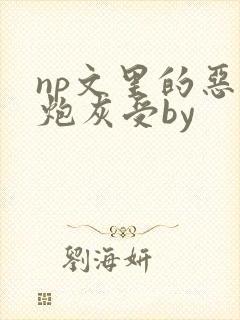 np文里的恶毒炮灰受by