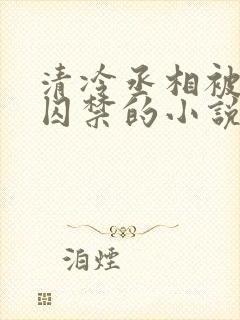 清冷丞相被皇上囚禁的小说