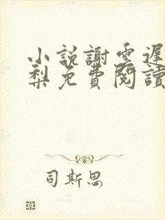 小说谢云迟沈晚梨免费阅读