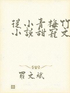 从小青梅竹马的小说甜宠文