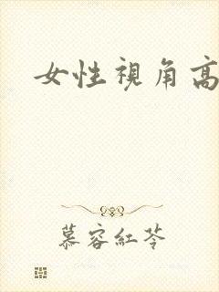 女性视角高h文